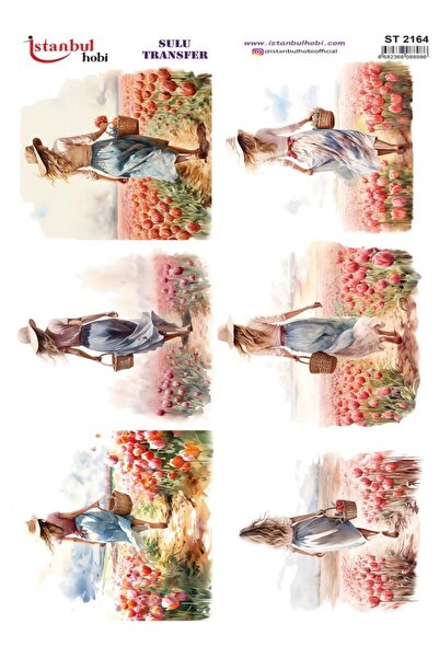 İstanbul Hobi Water Transfer Paper 25X35Cm St-2164