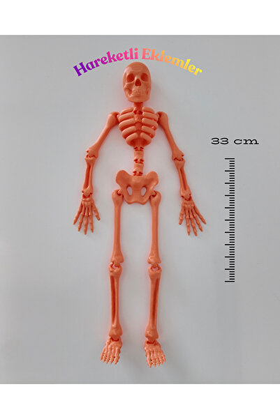 3DcraftTr Kemik Adam: Hareketli Eklemli İskelet Figür - 33 cm