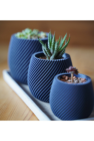 KOÇER AWM 3-Piece Spiral Design Desktop Succulent Cobalt Heat