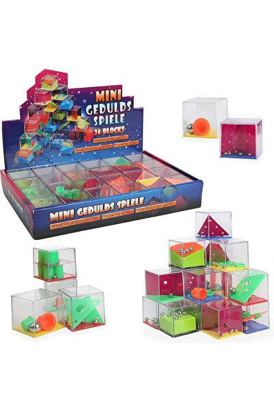 Generic 24 Piece Brain Teaser Puzzle Set