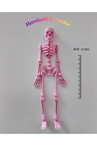 3DcraftTr Kemik Adam: Hareketli Eklemli İskelet Figür - 33 cm