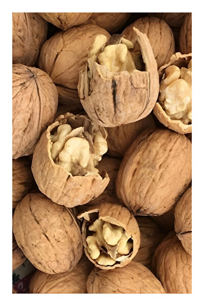 Kaplan Fidancılık İnce Kabuklu Yerli Chandler Ceviz 2.5 Kg