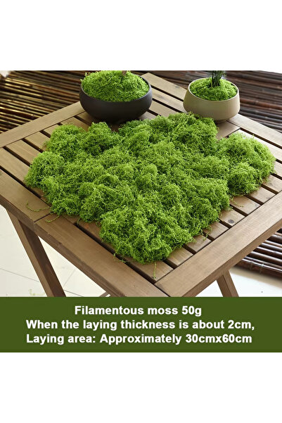 Choice طحلب صناعي دائم الخضرة نابض بالحياة، لون أخضر فاتح، 50 غرام: مثالي للأ...