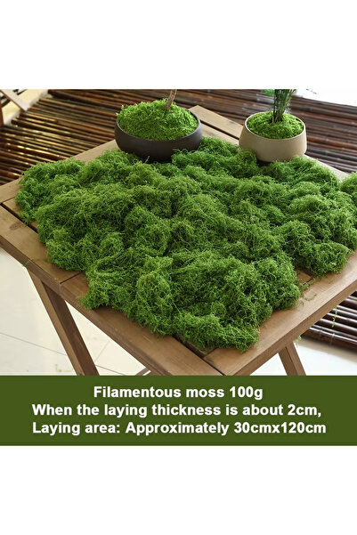 Choice طحلب صناعي دائم الخضرة نابض بالحياة، أخضر داكن، 100 غرام: مثالي للأعما...