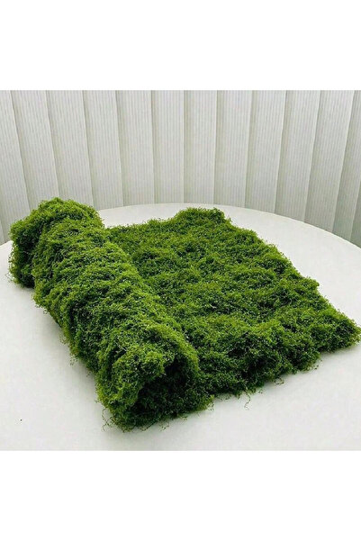 Choice 1 متر × 1 متر، طحالب صناعية، أعشاب صناعية، طحالب محفوظة، نباتات خضراء،...