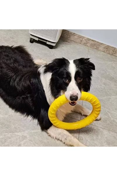 Choice حلقة واحدة للكلاب، لعبة متينة غير قابلة للتلف، أداة تدريب للمضغ والطير...