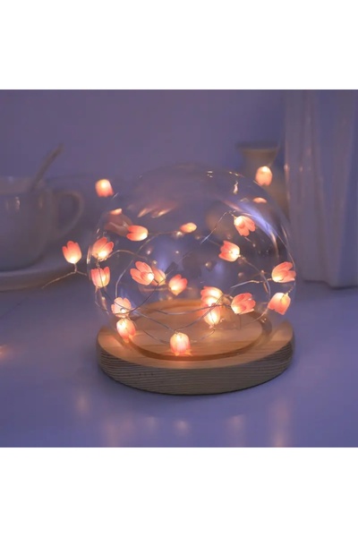 Choice مصباح سلسلة زهور التوليب الوردي 2M20LED، قطعة واحدة، سلك نحاسي، 20 مصب...