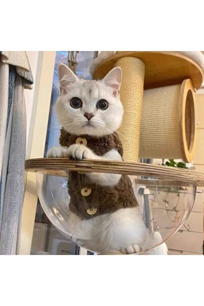 Choice ملابس قطط صغيرة (2.5-3.25 كجم) بلون القهوة، سترة دافئة من صوف الحملان،...