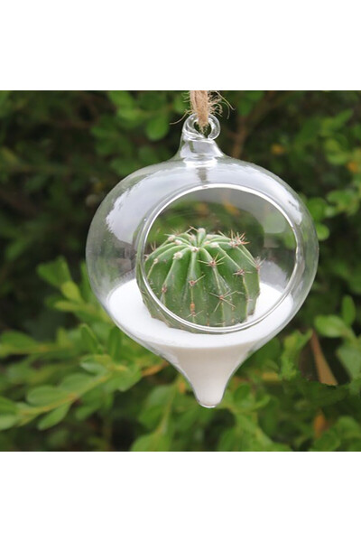Choice 9x12cm Clear Hanging Vase Glass Planter Succulents Plant Ball Containe...