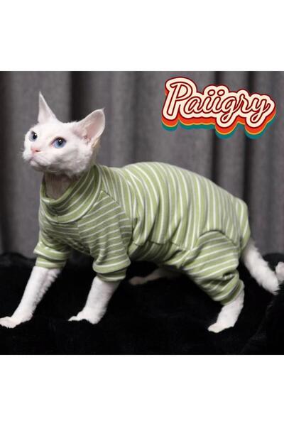 Choice ملابس قطط خضراء مقاس XL بدون شعر، ملابس ثلاثية الألوان لأربعة أرجل، مل...