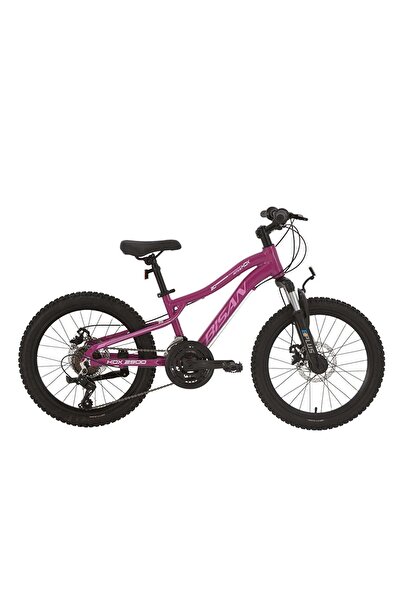 Bisan KDX 2500 Disk Fren 20 Jant Çocuk Bisikleti 28 Cm Kadro 21 Vites Metalik...