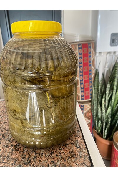 ÇUBUKABAD 5 kg MANİSA ASMA YAPRAĞI