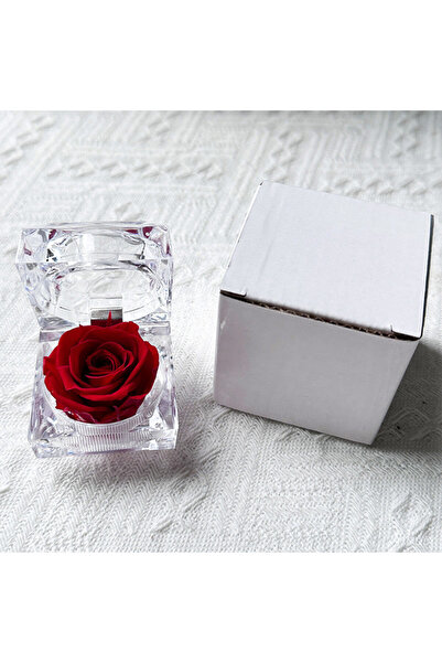 Choice One Size red Immortal Preserved Rose Flower Real Rose Flowers Decorati...