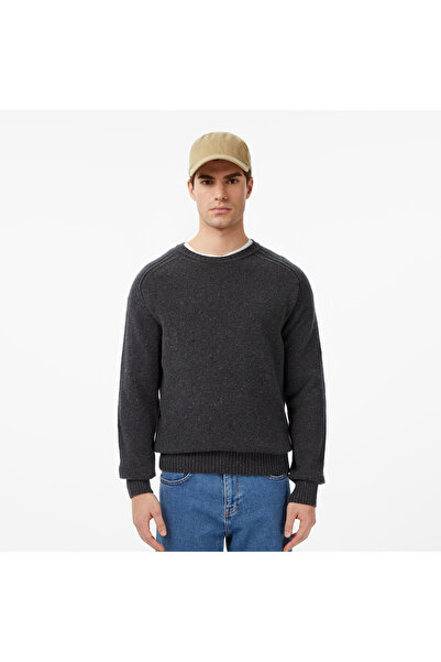 Lacoste Erkek Classic Fit Bisiklet Yaka Yün Gri Kazak