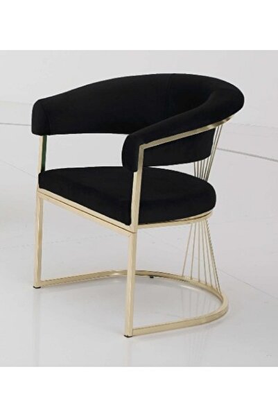 Casafun Set of 2, Master, velvet, gold metal legs and back, for living room, ...