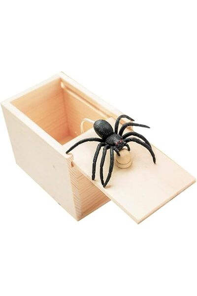 Generic Spider Prank Box