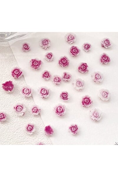 Pink Nails Set de flori 3D Trandafiri Fuchsia