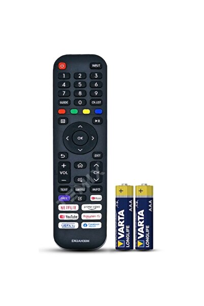 temix Compatible remote control Hisense, 32A4BG, 40A4BG, EN2AH30H, dedicated ...