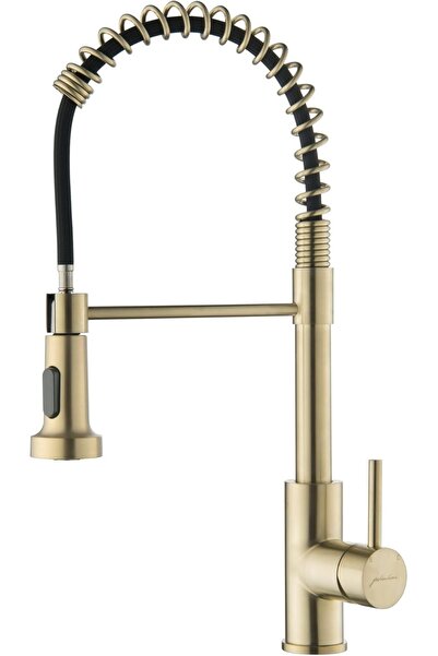 Fashionhome Fashion Home Kitchen Faucet with Pull Down Sprayer High Arc Sprin...