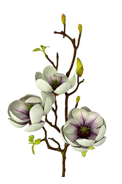 Nettenevime Yapay Çiçek Eva Yeşil Manolya 3 Çiçekli Uzun Dal 70cm Gerçeksi Doku