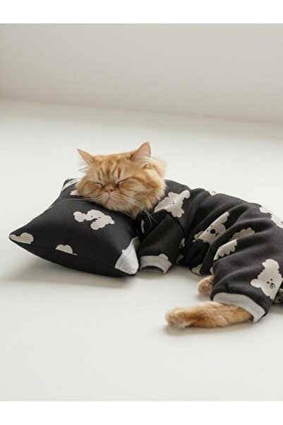 Kemique مجموعة نوم دوجي دو للقطط |   طقم بذلة قطيفة للقطط مع وسادة صغيرة |   ...