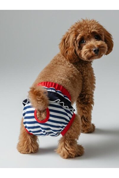 Kemique Pretty Liva Dişi Köpek Regl Külotu | Köpek Donu | Köpek İç Çamaşırı |...