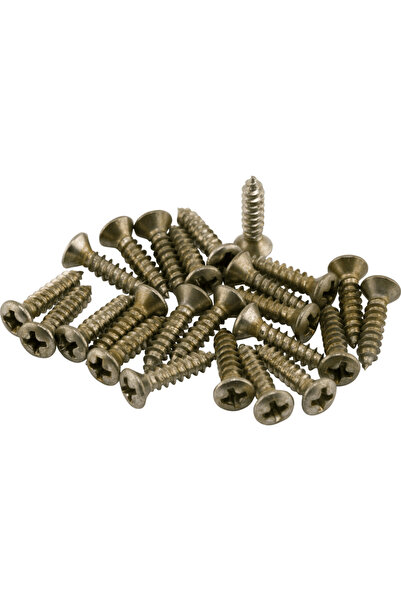 FENDER 0997208000 Road Worn Pickguard Screws (Pack of 24) |   Antique Look Sc...