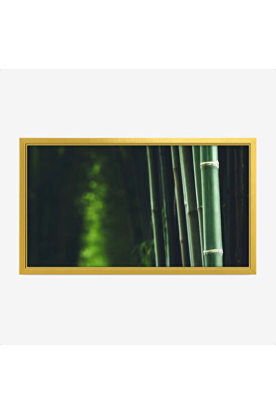 Tajridhome لوحة غابات - أعمدة خيزران - ألوان خضراء - هادئ - لوحات طبيعة - لوح...