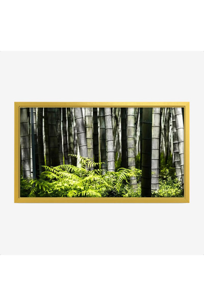 Tajridhome لوحة غابات - أعمدة خيزران - ألوان خضراء - هادئ - لوحات طبيعة - لوح...
