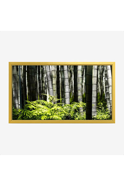 Tajridhome لوحة غابات - أعمدة خيزران - ألوان خضراء زاهية - هادئ - لوحات طبيعة...