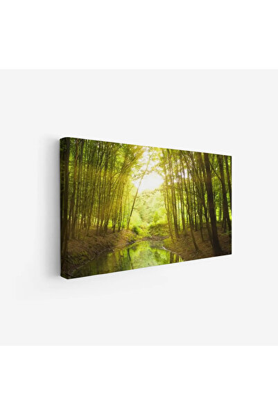 Tajridhome لوحة غابات - نهر هادئ - أشجار خضراء - مشمس - لوحات طبيعة - لوحات ك...