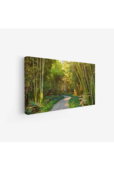 Tajridhome لوحة غابات - طريق بين الأشجار - ألوان خضراء زاهية - هادئ - لوحات ط...