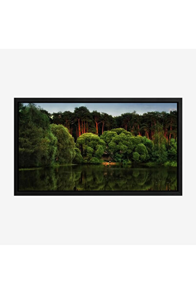 Tajridhome لوحة غابات - أشجار خضراء - مياه هادئة - هادئ - لوحات طبيعة - لوحات...