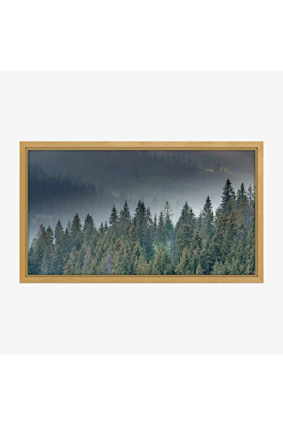 Tajridhome لوحة غابات - أشجار خضراء - ضباب خفيف - هادئ - لوحات طبيعة - لوحات ...