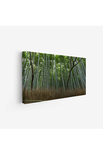 Tajridhome لوحة غابات - أعمدة خضراء - إضاءة طبيعية - هادئ - لوحات طبيعة - لوح...