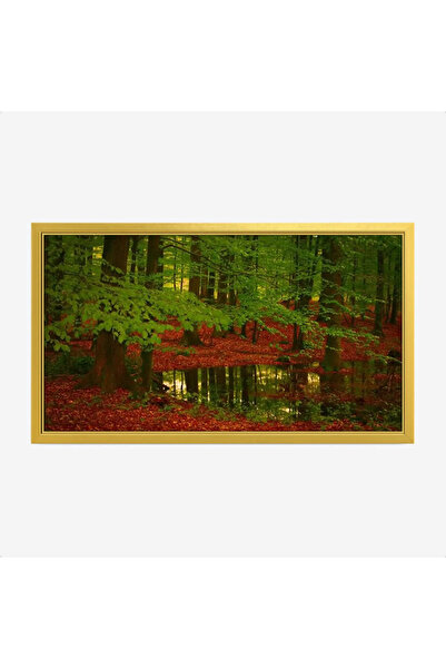 Tajridhome لوحة غابات - أشجار خضراء - أوراق حمراء - هادئ - لوحات طبيعة - لوحا...