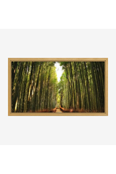 Tajridhome لوحة غابات - طريق بين الأشجار - ألوان خضراء زاهية - هادئ - لوحات ط...