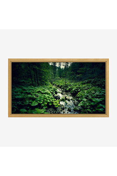 Tajridhome لوحة طبيعة هادئة - مجرى مائي - نباتات خضراء - هادئ - لوحات طبيعة -...