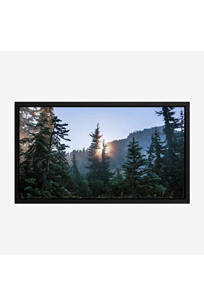 Tajridhome لوحة غابات - أشجار خضراء - ضوء شمس خافت - هادئ - لوحات طبيعة - لوح...