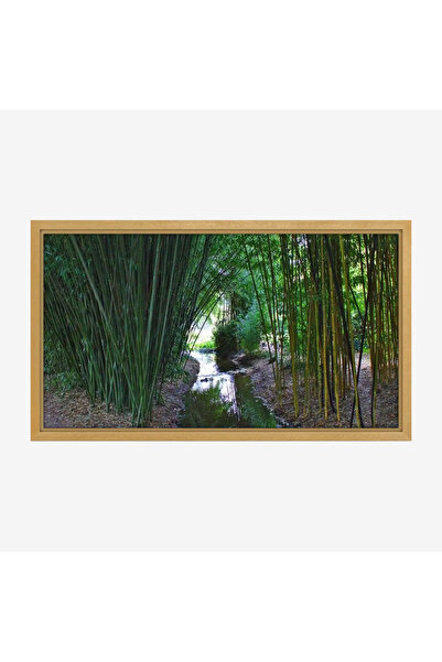 Tajridhome لوحة غابات - مجرى مائي - أخضر - هادئ - لوحات طبيعة - لوحات كانفاس