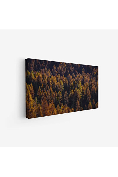 Tajridhome لوحة غابات - أشجار خضراء وصفراء - ألوان دافئة - هادئ - لوحات طبيعة...