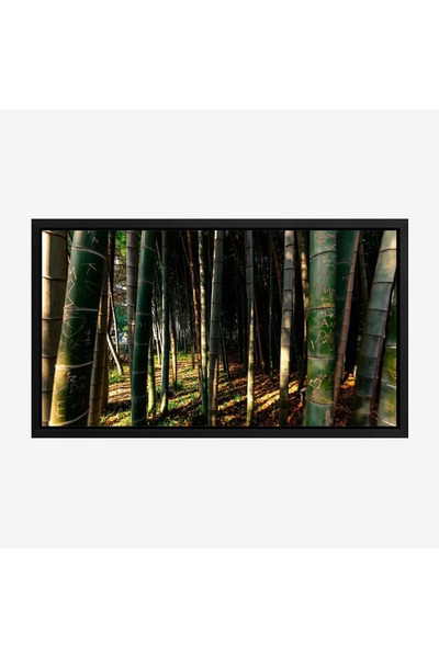 Tajridhome لوحة غابات - أشجار خضراء - إضاءة طبيعية - هادئ - لوحات طبيعة - لوح...