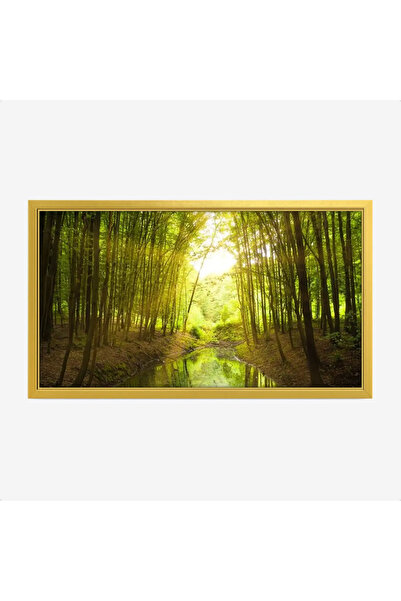 Tajridhome لوحة غابات - نهر هادئ - أشجار خضراء - مشمس - لوحات طبيعة - لوحات ك...