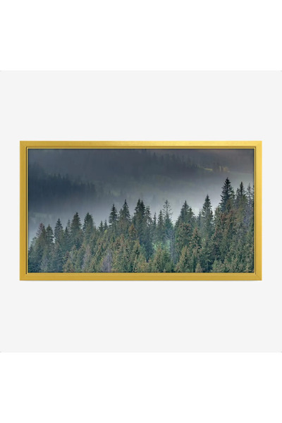 Tajridhome لوحة غابات - أشجار خضراء - ضباب خفيف - هادئ - لوحات طبيعة - لوحات ...