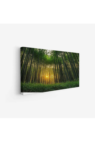 Tajridhome لوحة غابات - أشجار خضراء - ضوء شمس دافئ - هادئ - لوحات طبيعة - لوح...
