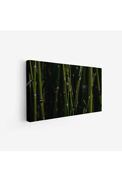 Tajridhome لوحة طبيعة هادئة - أعواد خضراء - إضاءة خافتة - هادئ - لوحات طبيعة ...