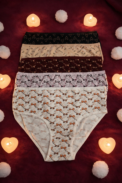 Lahor Secret Kadın 5'li Desenli Pamuklu Yüksel Bel Bato Külot (Karma Desenler)