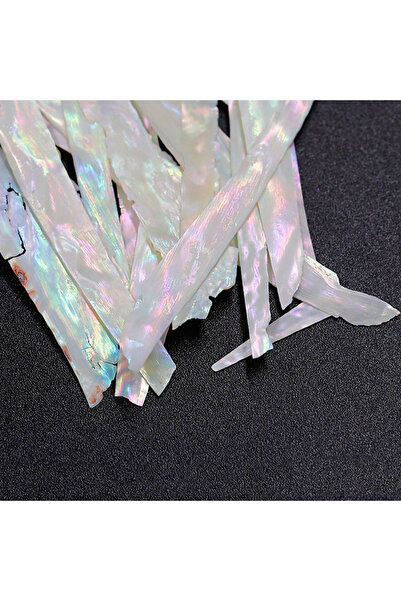 Choice ملصقات تزيين الأظافر بلونين أبيض، شرائح صدفة أذن البحر، قطع لامعة مزين...