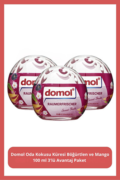 DOMOL Oda Kokusu Küresi Böğürtlen Ve Mango 100 ml 3'lü Avantaj Paket