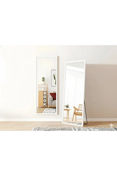 N.zone In Zone Modern Full Length Rectangular Mirror with Metal Frame
